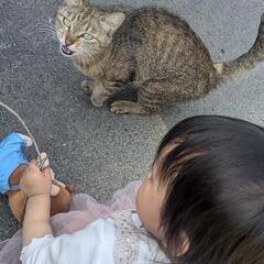 大分市生石にて迷いがいます