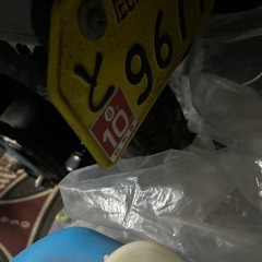 シャリー　お盆価格の画像
