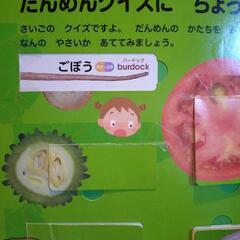 しかけ絵本 やさい 図鑑の画像
