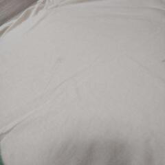 Pharrell's Sportswear　Tシャツ　Lサイズ　LARGEの画像