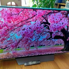 ② 【動画あり】本日より～4/27まで 39000円→23000円 LG 有機EL