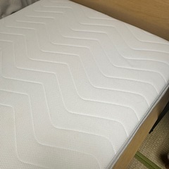 コアラの中古が安い!激安で譲ります・無料であげます|ジモティー コアラの中古が安い!激安で譲ります・無料であげます|ジモティー