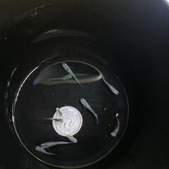 ★めだか〜黒百式　幼魚10匹　屋外飼育越冬個体