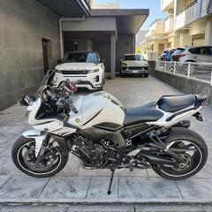 fz1
