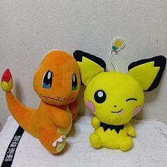 ポケモン　ヒトカゲ＆ピチュウぬいぐるみ