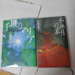 小池真理子 千日のマリア 水無月の墓 2冊 小説 美品