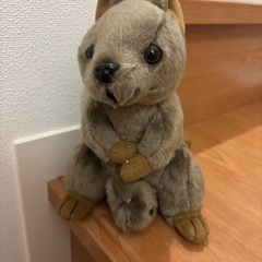 オーストラリア ウォンバットぬいぐるみ