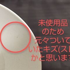 CHUMS🐧バンブーファイバー入りボウル(非売品)【未使用品】の画像