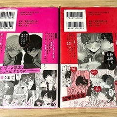 こんなの運命じゃないから勘違いしないで 上下巻セット 未開封品の画像