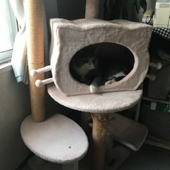 キャットタワー(キズあり)
