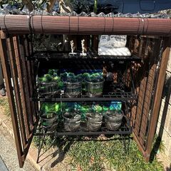 ★無人販売★ メダカ めだか ちゅんりーふぁーむ 4/26 - ...