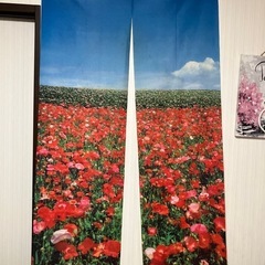 赤い花と青空ののれん
