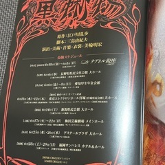 舞台パンフレット☆黒蜥蜴☆美輪明宏の画像