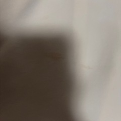 中古 ブラウス レディース 9号  の画像
