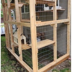 DIY 屋外キャットハウス＆ウォーク - 足利市