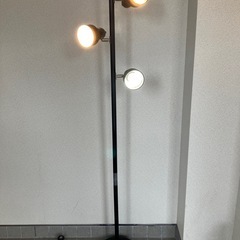 スタンドライト
