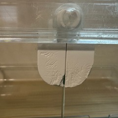 GEXグラスハーモニー600プラスの画像