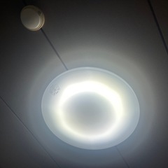 ライト　購入予定者決定
の画像