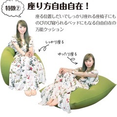 人間がダメになるクッション　ビーズクッション　タグ付ほぼ新品の画像