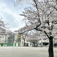  都営新宿線 菊川駅 徒歩8分✨敷/礼→0円✨墨田区立川４丁目 13-13  ❗️KQ49767 - 不動産