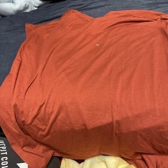 【断捨離】茶系半袖Tシャツ🤎レディースMサイズの画像