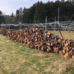 N62 薪用の梨の玉切り 軽トラ350Kg 引取り限定(福島市)