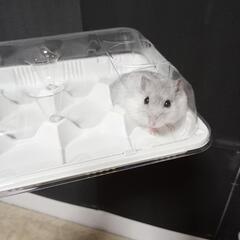 鬱で療養中なのですが友達が欲しいです - 友達