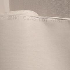 壁紙