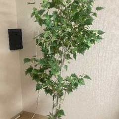 【0円】観葉植物造花　4/28まで