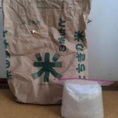 【1】令和6年度産　コシヒカリ(3kg)