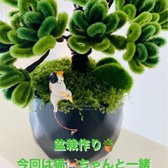 ふわふわモール盆栽(猫ちゃんフィギュア付き)