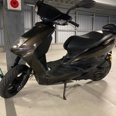 シグナス　1型