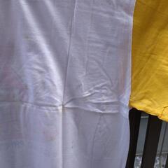レア商品❗️スズキのハーベーカラーＴシャツ❗️でもジャンクの画像