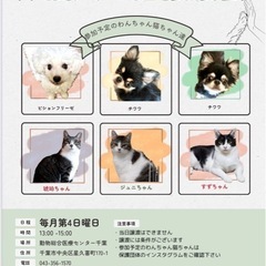 ワンちゃん猫ちゃんお見合い会