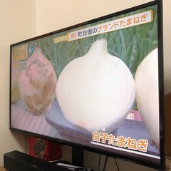 40型テレビ