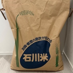 【受け渡し決定③】R6 石川県産　コシヒカリ　玄米30kg