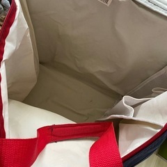 コストコ大量保冷バックの画像