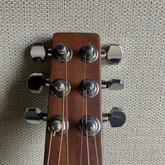 マーチンバックパッカー(martin backpacker) (k) 本八幡の弦楽器