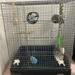 楽天市場】【送料無料】鳥かご サンコー イージーホームバード