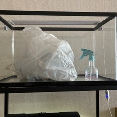 GEXガラス水槽 少し使用しただけのもの  60cm水槽