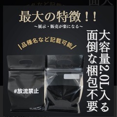 【ご予約品】しずく２ペア+1匹　ラムネブルーKWF1ペア のセットの画像