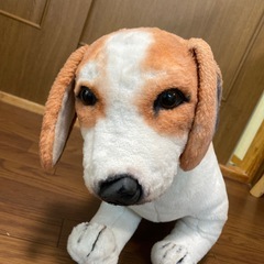 犬のぬいぐるみ（大）の画像