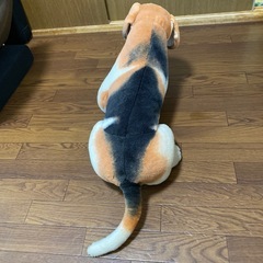 犬のぬいぐるみ（大）の画像