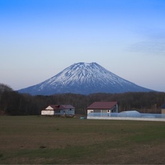 メンタルグル