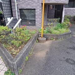 草むしり出来る方募集します