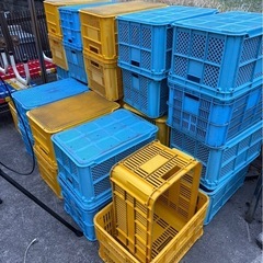 プラスチックケース コンテナ 収穫コンテナ 50個