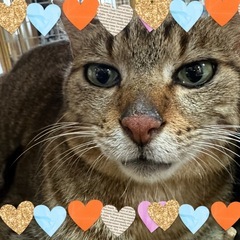 【大至急】家族にしてあげてください