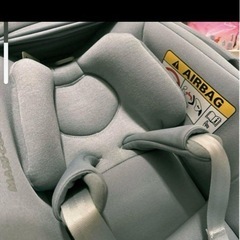 マキシコシの画像