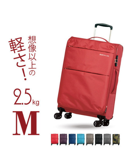 キャリーバッグ未使用品 (謎野猫) 六名のバッグ《その他》の中古