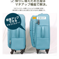キャリーバッグ未使用品 (謎野猫) 六名のバッグ《その他》の中古